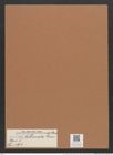 Navicula trilineata Grove et Sturt. (de-Toni-Nr.: Genus 1, Species 191) Zeichnungen Sammlung Grunow Mappe 00155 (Herbarium_W_Grunow_drawings_Folder_00155)